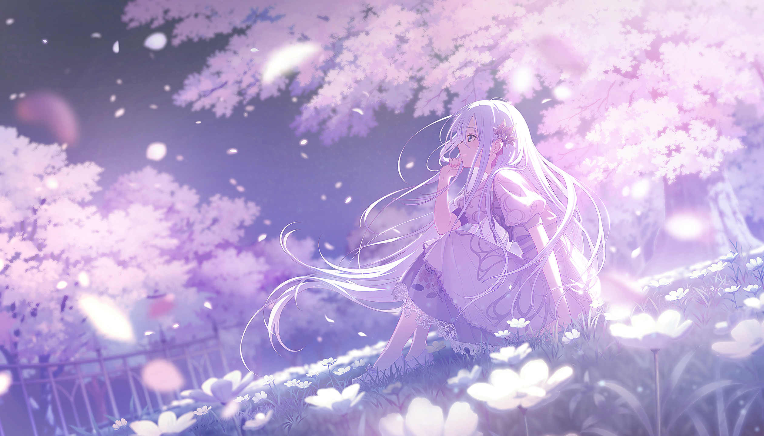 Banner image of the blog